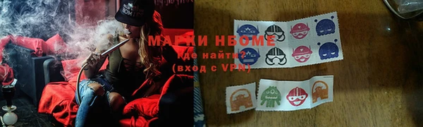индика Абинск