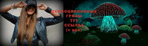 соль ск Новокубанск