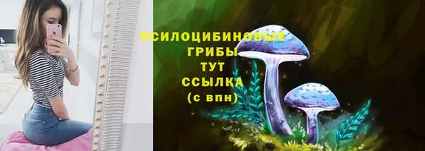 индика Абинск