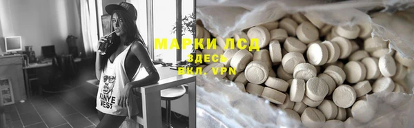 индика Абинск