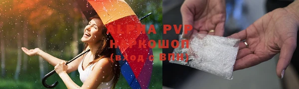 индика Абинск