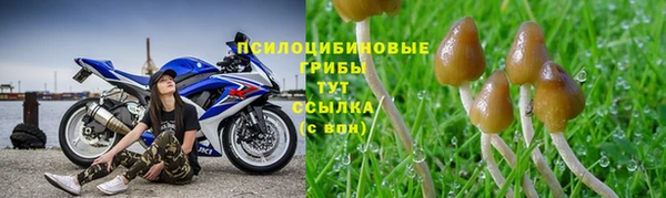 mdpv Новозыбков
