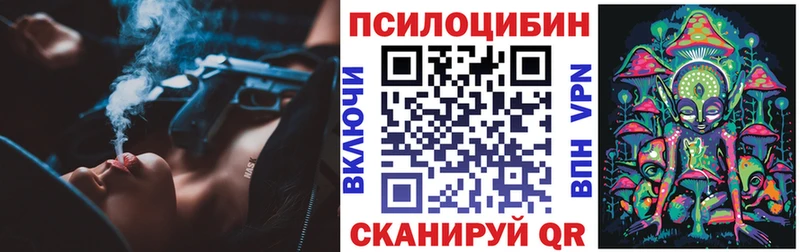 Псилоцибиновые грибы Psilocybe mega tor Приморско-Ахтарск